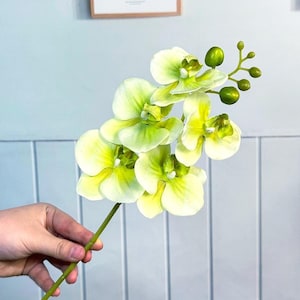 17”fake Orchid Plant,artificial Orchid Stems,faux Realistic flower,Flower Arrangements,Flower For Vase filling,Home/Wedding Decor,DIY floral