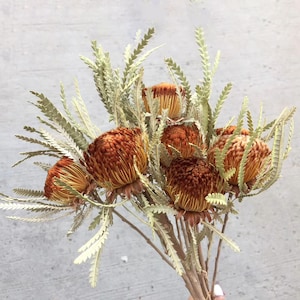 1/2/5 dry protea  branches，dried flowers arrangement。dried flowers for vase，home decor，wedding decor，DIY floral，natural flower，