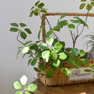 Pu&ograve; includere: Un cesto intrecciato pieno di piante artificiali con foglie verdi. Il cesto ha una forma rettangolare e un manico in corda ritorta. Una piccola etichetta con la parola "Flowers" &egrave; attaccata al cesto.