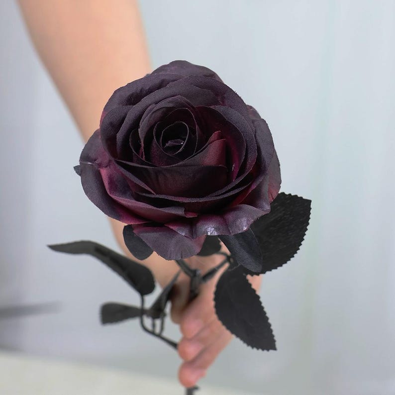 May include: A dark purple rose with black stem and leaves. The rose has multiple layers of petals, with a deep, rich color gradient from dark purple to a lighter shade. The leaves are a solid black, and the stem is also black.