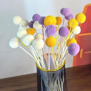 Preserved billy balls flower，Dried craspedia stems，Dried flower arrangement, home/wedding bouquet decoration, vase filling, DIY craft supply