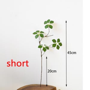 Pu&ograve; includere: Un fusto di pianta finto con foglie verdi a cinque petali. Il fusto &egrave; marrone e misura 20 cm di lunghezza, con l'intera pianta che misura 45 cm. La parola "short" &egrave; scritta in rosso. La pianta &egrave; posta su una superficie di legno.