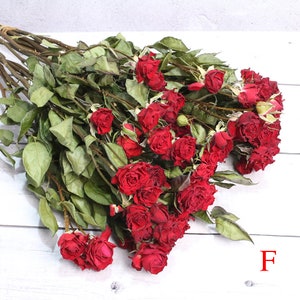 dried rose bouquet30 rose flower heads in a bunchdried rose flowers bouquetdried flowers arrangementdesk decor home decorwedding decor F