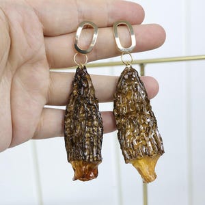 May include: A pair of dangle earrings featuring realistic morel mushroom pendants with a glossy, textured brown finish. Each mushroom is suspended from a polished gold-tone oval link by a small circular jump ring, creating a distinct botanical look.