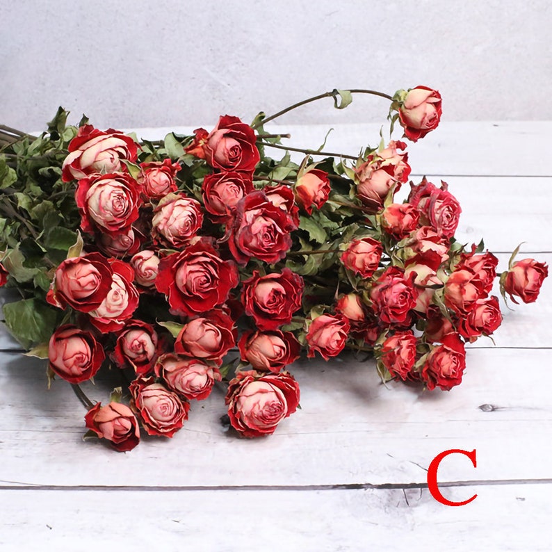 dried rose bouquet30 rose flower heads in a bunchdried rose flowers bouquetdried flowers arrangementdesk decor home decorwedding decor C