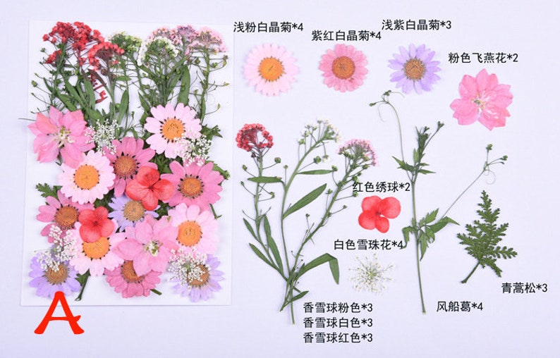 5 style pressed flowers pack dried embossed flowers leaves\uff0c DIY material craft supplies dried pressed flowers for art craft jewelry