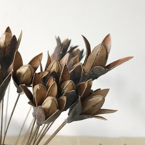 10 sticks small magnolia flower，natural flowers，artificials flowers branches，dry flowers for vase filling，home decor，DIY craftsupply，