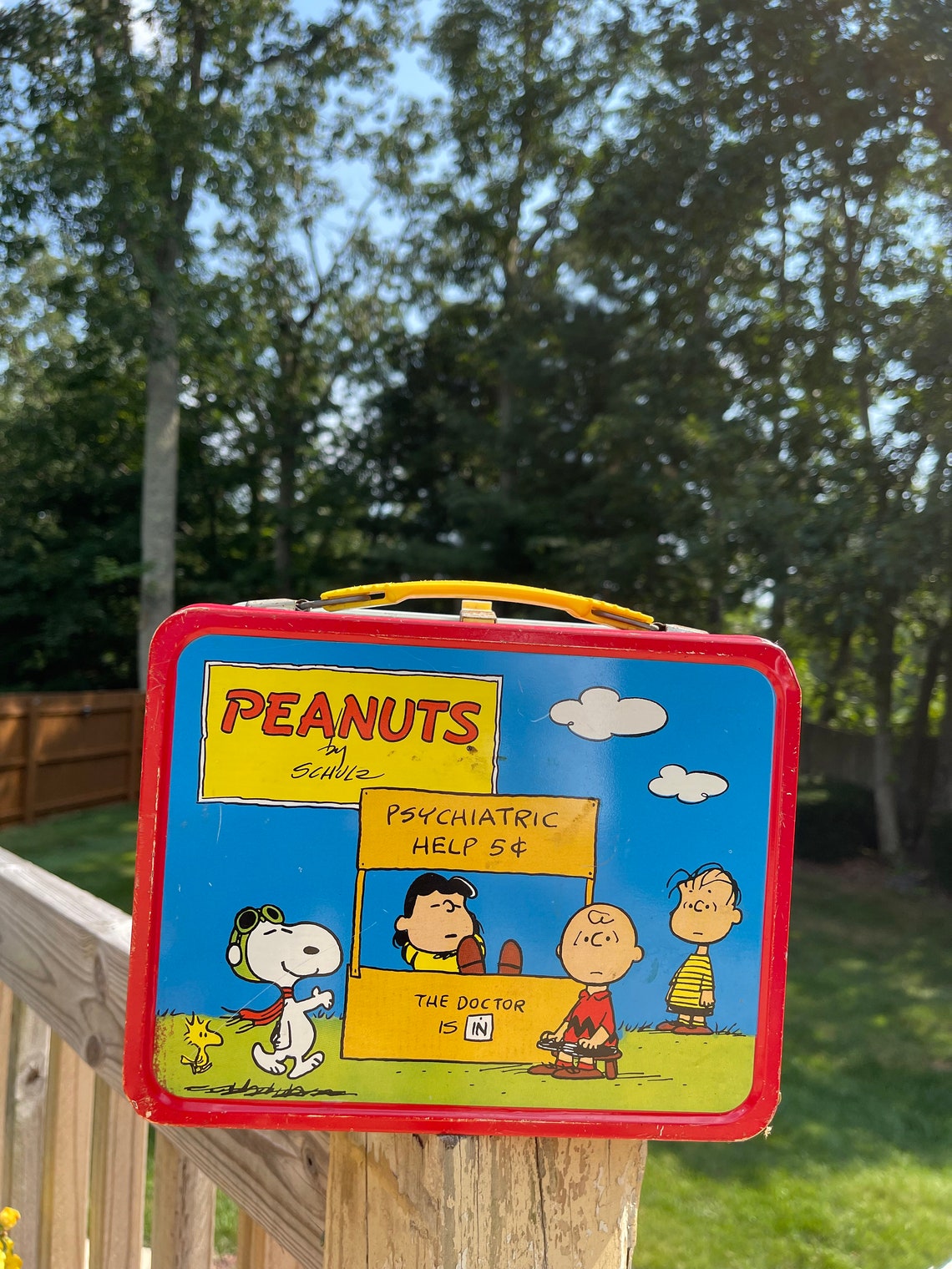 1973 Metal Peanuts Lunch Box with Thermos Vintage Peanuts Etsy
