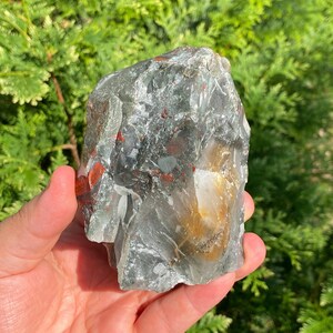Natuurlijke Bloodstone Cobbed stuk uit Swaziland
