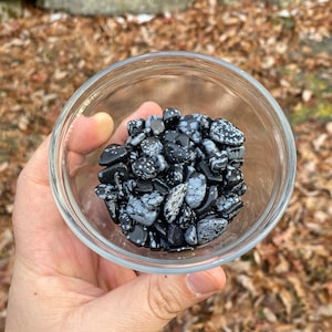 Snowflake Obsidian Mini Tumbles Pack