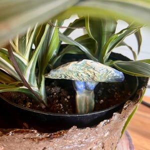 May include: A ceramic mushroom figurine with blue, green, and yellow glaze is nestled in a brown, textured pot filled with soil. The pot is surrounded by green and white striped leaves.