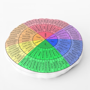 May include: A circular chart depicting a wheel of emotions. The chart is segmented into sections, each colour representing a different emotion. The emotions are listed in a circle around the chart, with the most positive emotions at the top and the most negative emotions at the bottom.