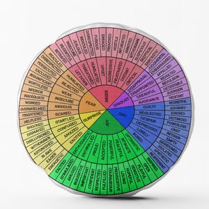 Feelings Wheel Pillow / Emotions Wheel Round Pillow / Therapist Gift / Color Wheel Of Emotions / DBT Therapy Tools / Emotional Wheel Chart