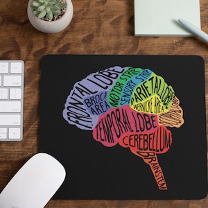 May include: A black mouse pad with a colorful illustration of the human brain, labeled with the names of its different parts. The brain is depicted in a rainbow color scheme, with each lobe and area highlighted in a different color.