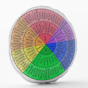 May include: A white round cushion with a colourful wheel of emotions. The wheel is divided into sections with different colours and words describing various emotions, such as joy, anger, sadness, fear, and disgust. The words are arranged in a circle around the centre of the cushion.