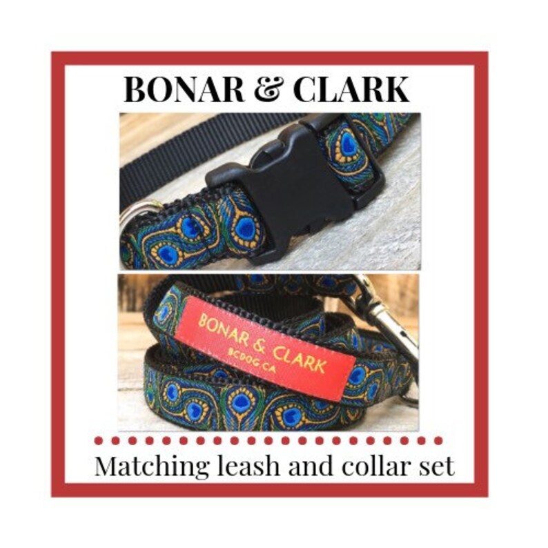boy dog collars and leashes