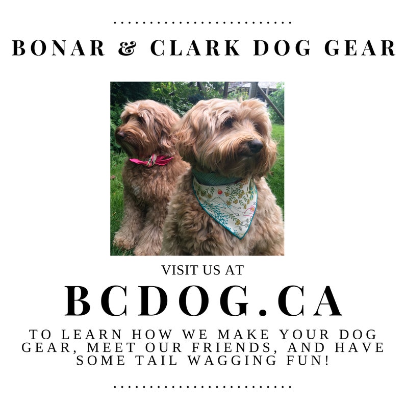 Jingle bell dog collar charms clip on Christmas jingle bells Etsy