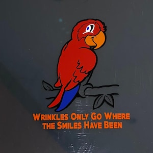 TROPICAL Jimmy Buffett themed window car decal/sticker Wrinkles Only Go Where the Smiles Have Been Parrothead