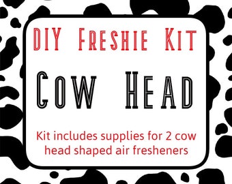 DIY Aromie Freshie Kit- Pineapple Car Air Freshener | Do It Yourself Craft  Kit