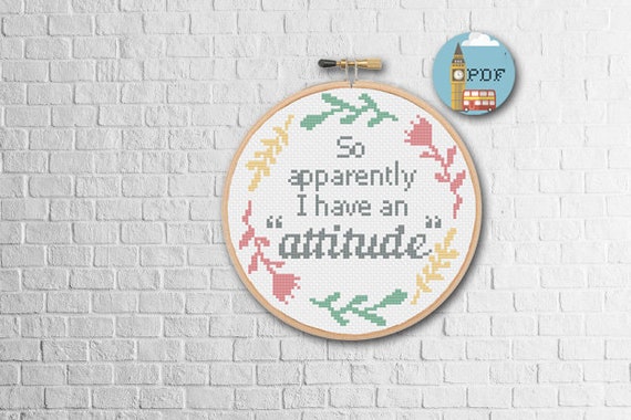 Subversive Cross Stitch, Embroidery Hoop Frame, Personalized Embroidery  Sampler, Rude Cross Stitch, Funny Embroidery Kit