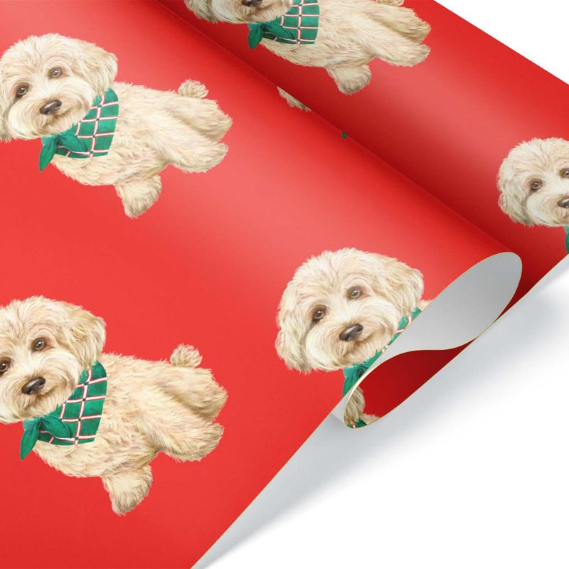 Goldendoodle Gift 60+ Gift Ideas for 2025