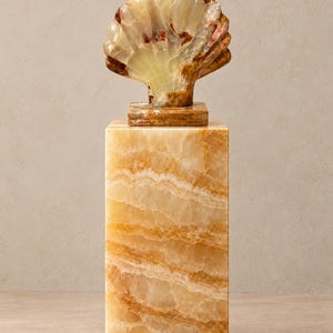 Onyx Shell Sculpture - W/O Pedestal