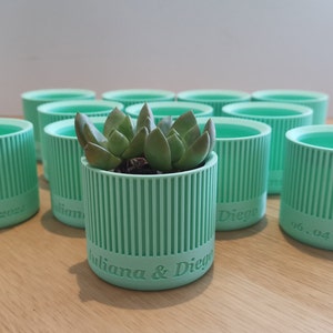 Mini personalized flowerpot for succulents or cacti, gift for wedding or baptism guests, wedding thank you image 5