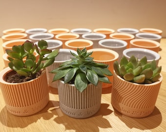 Personalized plant pot for succulents or cacti, gift for wedding or baptism guests, thanks, birthdays, events.