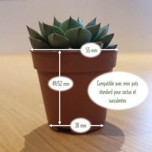 Mini personalized flowerpot for succulents or cacti, gift for wedding or baptism guests, wedding thank you image 7