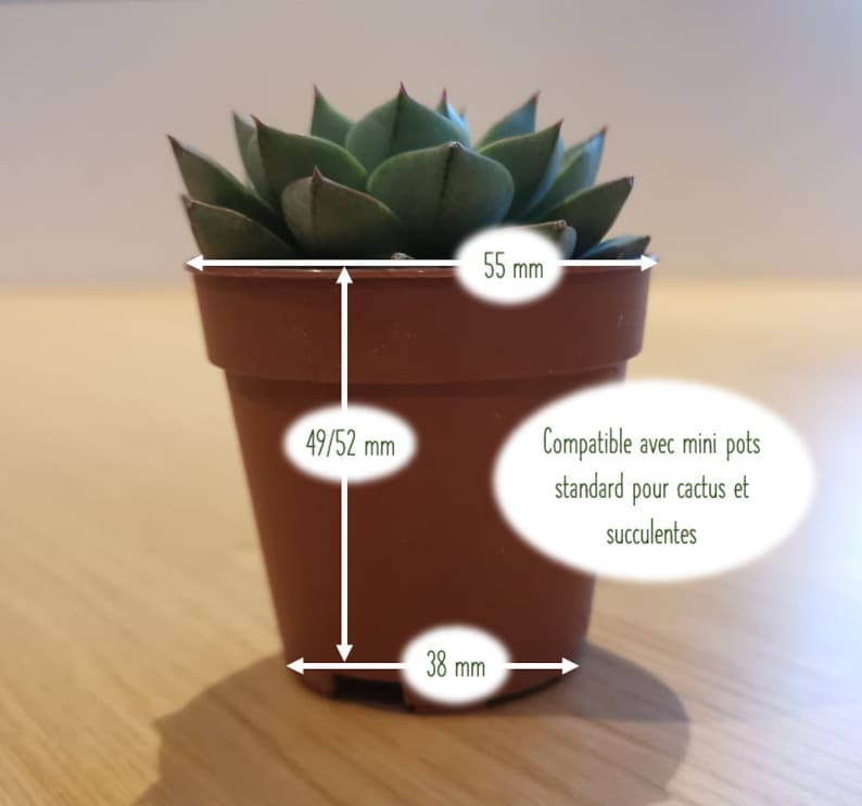 Mini gepersonaliseerde bloempot voor vetplanten of cactussen, cadeau voor bruilofts of doopgasten, bedankje voor een bruiloft afbeelding 7