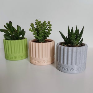 Vaso personalizzato per piante grasse o cactus, regalo per invitati a matrimoni o battesimi, ringraziamenti, compleanni, eventi.