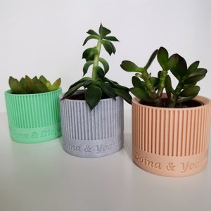 Mini personalized flowerpot for succulents or cacti, gift for wedding or baptism guests, wedding thank you image 1