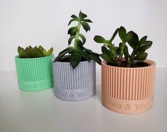 Mini cache-pot personnalisé pour succulentes ou cactus, cadeau pour invités de mariage ou baptême, remerciement de mariage