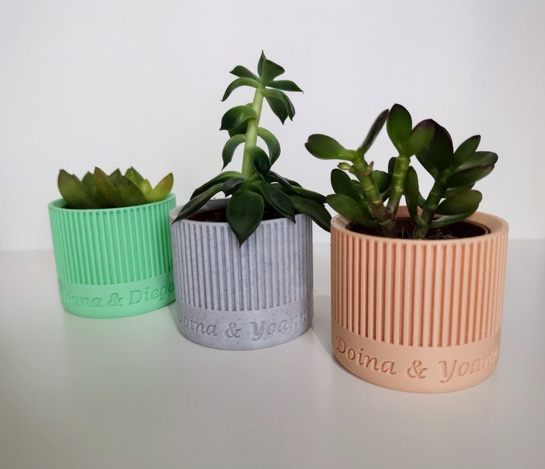 Mini cache-pot personnalisé pour succulentes ou cactus, cadeau pour invités de mariage ou baptême, remerciement de mariage 画像 1