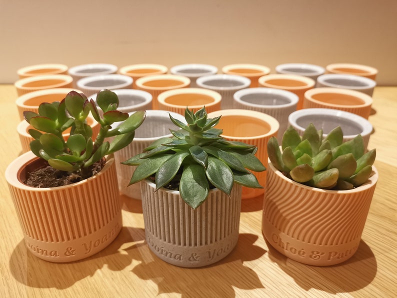 Mini personalized flowerpot for succulents or cacti, gift for wedding or baptism guests, wedding thank you image 4