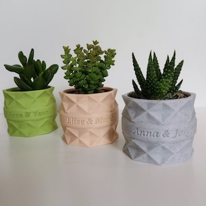 Vaso personalizzato per piante grasse o cactus, regalo per invitati a matrimoni o battesimi, ringraziamenti, compleanni, eventi.