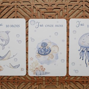 cartes étapes bébé , naissance, enfant, première année immagine 7