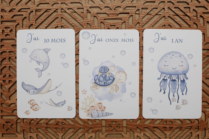 cartes étapes bébé , naissance, enfant, première année immagine 7