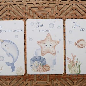 cartes étapes bébé , naissance, enfant, première année immagine 6