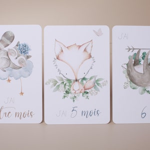 Cartes étapes bébé thème animaux et nature Bild 3
