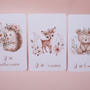 Cartes étapes bébé animaux mignons image 6
