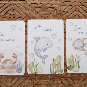 cartes étapes bébé , naissance, enfant, première année immagine 5