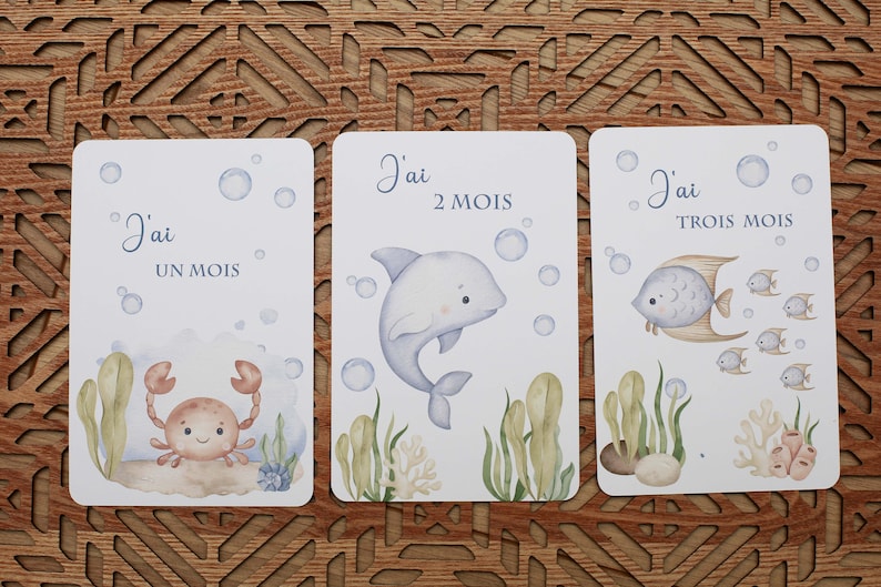 cartes étapes bébé , naissance, enfant, première année immagine 5