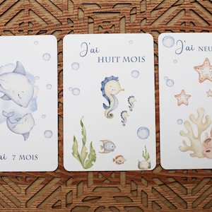cartes étapes bébé , naissance, enfant, première année