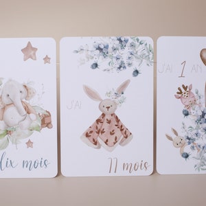Cartes étapes bébé thème animaux et nature Bild 6