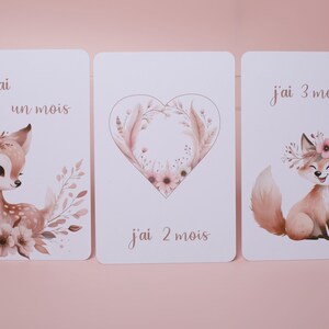Cartes étapes bébé animaux mignons image 3