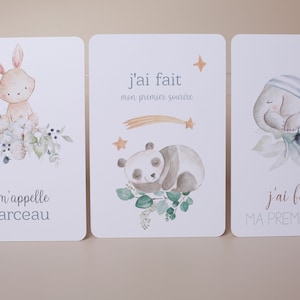 Cartes étapes bébé thème animaux et nature