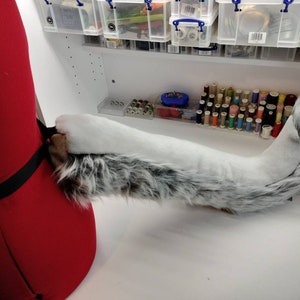 Large cat tail. Grey cat tail. Furry costume tail.