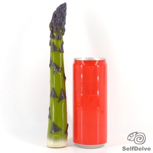 Asparagus: long, slender vegetable dildo image 9