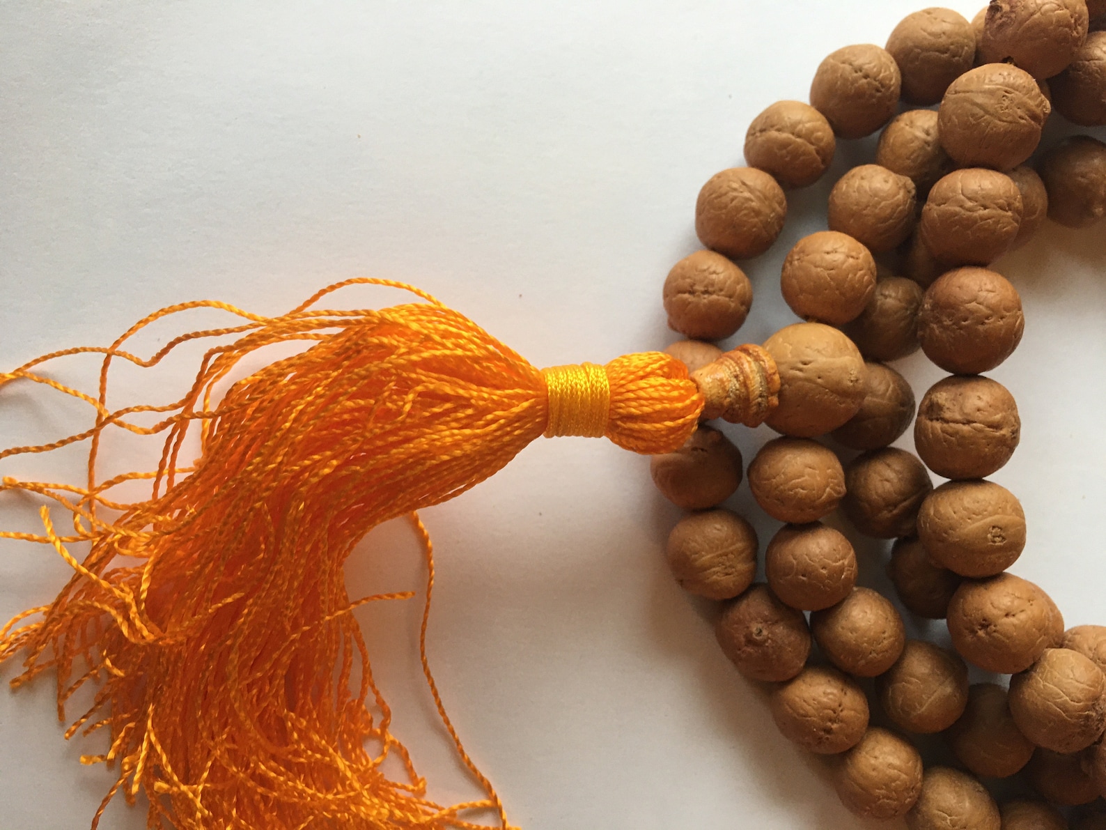 1011 mm Bodhi seed Bodhiseed Buddhachitta Buddha chitta Etsy